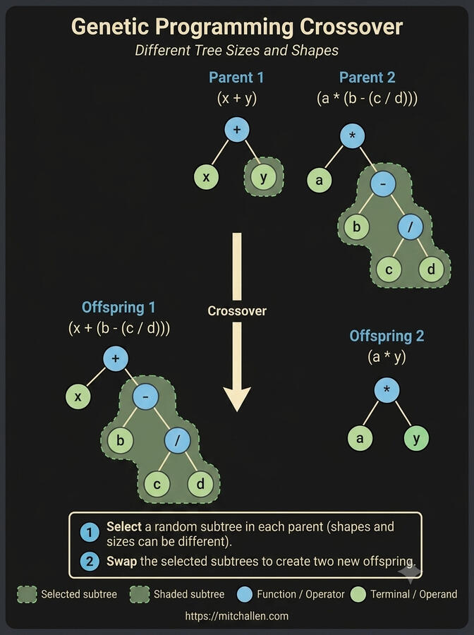 Genetic Programming Crossover